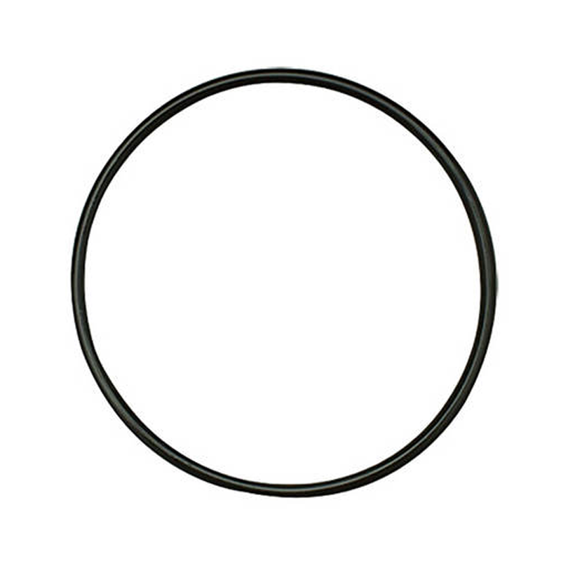 eSpring Filter Bracket O-Ring
