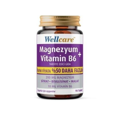 Wellcare Magnesium & Vitamin B6 Daily Wellness Support, 90 Tablets
