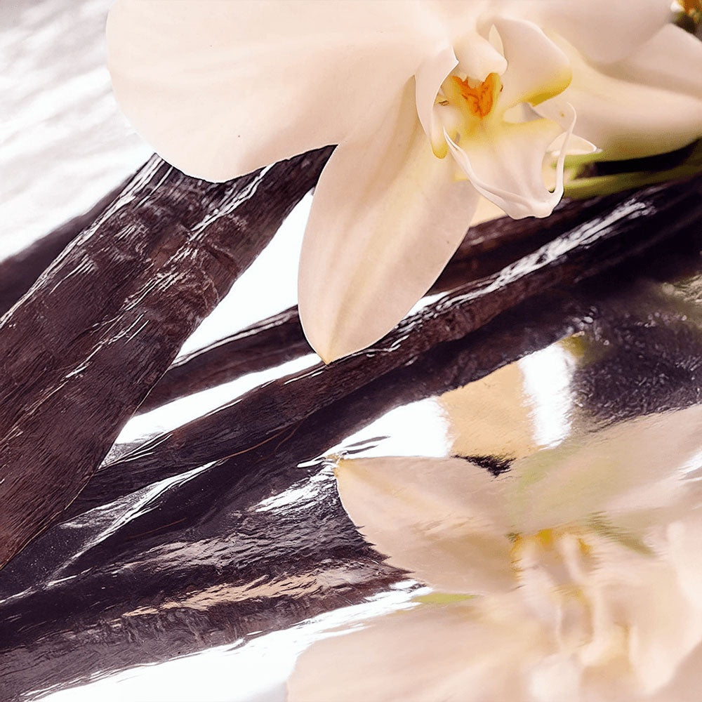 Iris Cosmetics Whipped Grass-Fed Tallow Balm with Vanilla Bean
