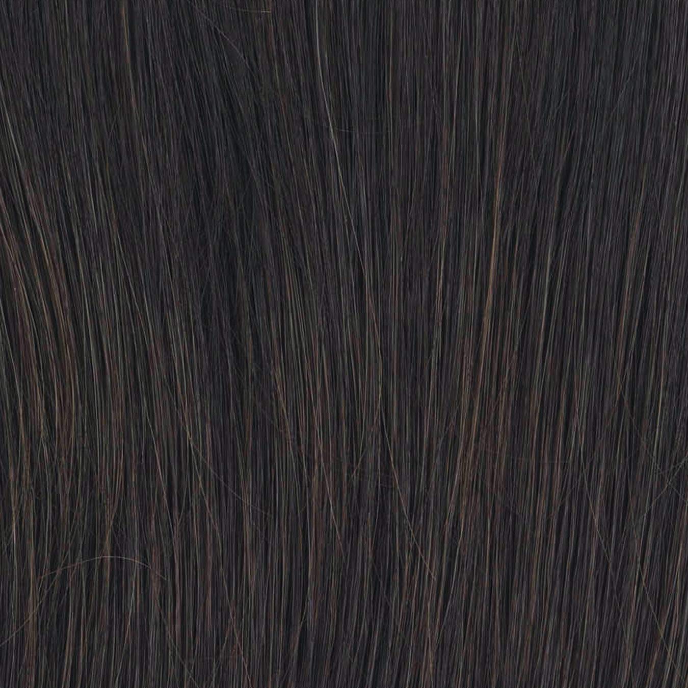 Raquel Welch Flip the Script Wig New With Tags
