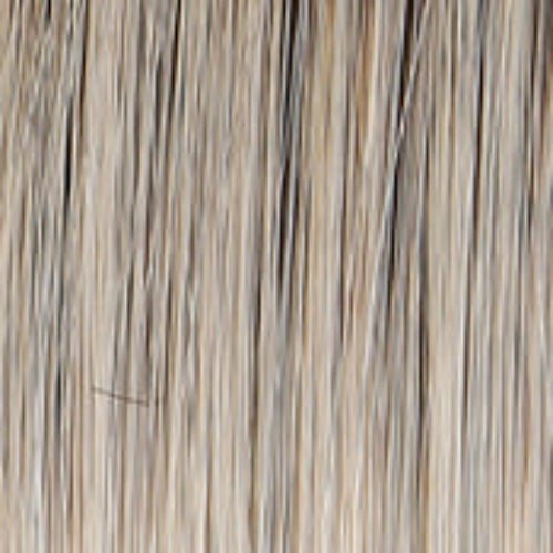Raquel Welch Well Played Wig - Choose Color