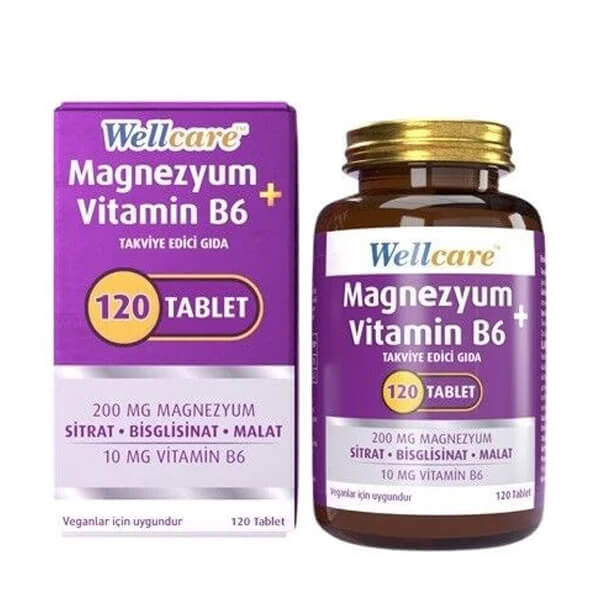 Wellcare Magnesium & Vitamin B6 Daily Support 120 Tablets