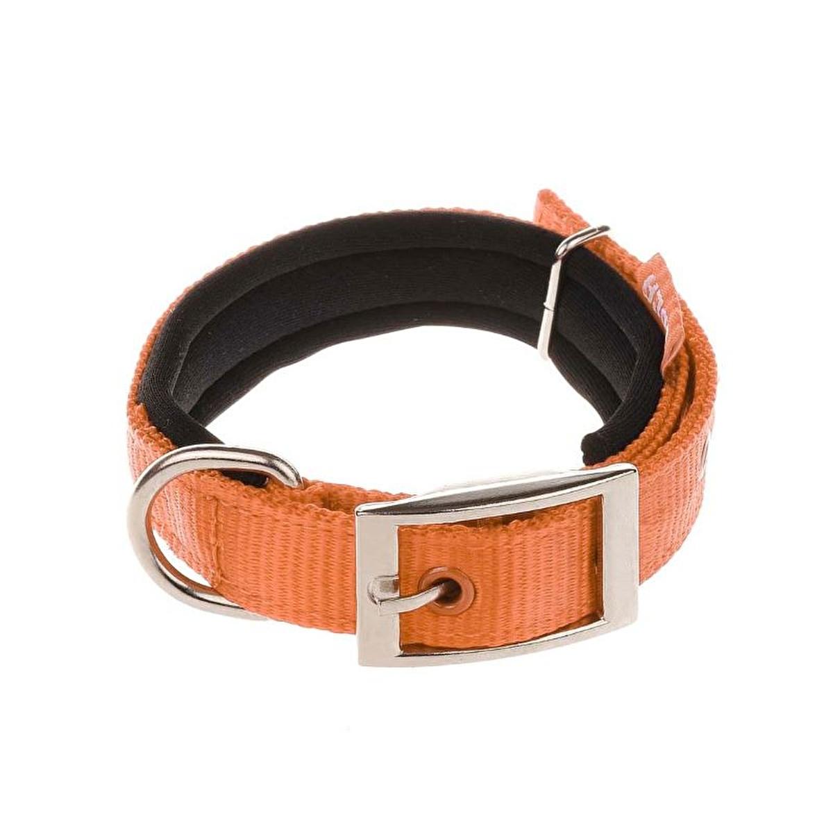 Doca Dokuma Turquoise Orange Soft Fabric Adjustable Pet Collar for Dogs and Cats
