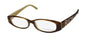 John Richmond 03204 Eyeglasses