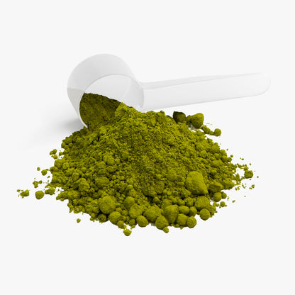 Pleasent Morning Ceremonial Matcha Powder
