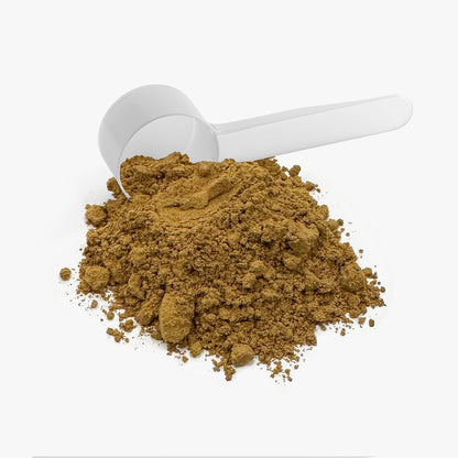 Pleasent Morning Mushroom Fuse Instant Coffee (Medium Roast)