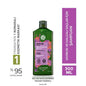 Bukle - Curly Hair Shampoo for Definition & Nourishment, Sulfate-Free, Organic Flaxseed & Agave, 48hr Curl Definition - Boucles
