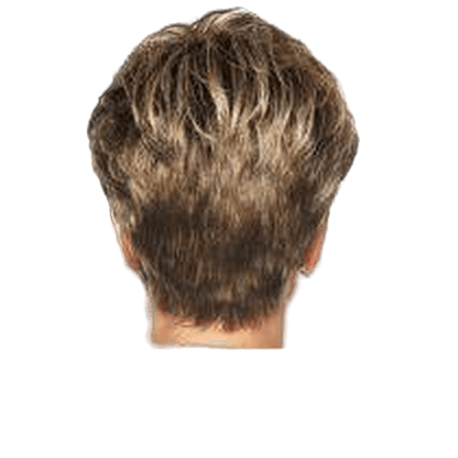 Raquel Welch Winner Wig Hairpiece - Choose Color