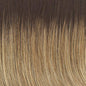 Raquel Welch Alpha Wave 16" Top Piece Hair Topper Hairpiece - Choose Color