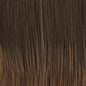 Raquel Welch Big Time Wig Hairpiece - Choose Color