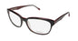 Vera Wang Luxe Luna Eyeglasses