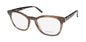 Vera Wang V509 Eyeglasses