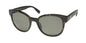 Furla Sfu471 Sunglasses