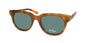 Flexon Shinola 1501s Sunglasses