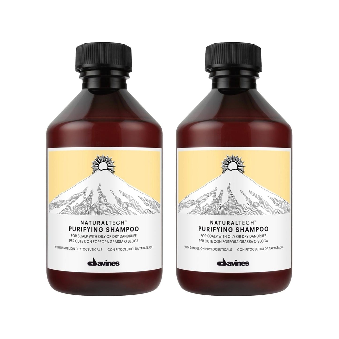 Davines Purifying Anti-Dandruff Shampoo for Flaky Scalp 250 ml