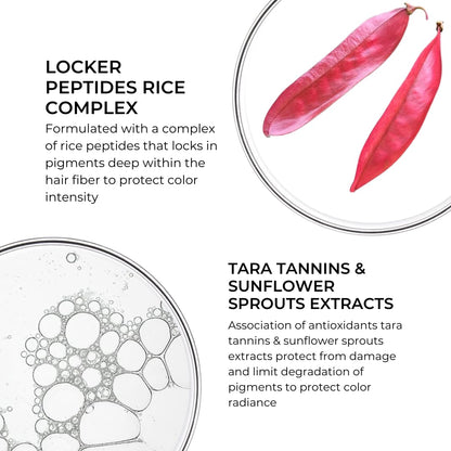 Phyto Color Protecting Shampoo - Sulfate-Free, Silicone-Free, Daily Use for Color-Treated Hair