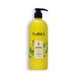 Plaine’s Professional Ginger & Mint Strengthening Shampoo (16.9 Fl Oz)