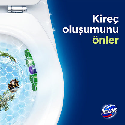 Domestos Toilet Block Pine Forest 100g - Maximum Freshness and Hygiene