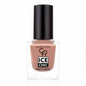 Golden Rose Ice Chic Nail Polish Colour 14 - Long Lasting Formula, 10.5ml