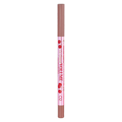 Vivienne Sabo Le Grand Volume Gel Lipliner 02 Warm Nude 1.2g
