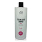 AG Hair Cosmetics Colour Care Sterling Silver Toning Shampoo 237ml