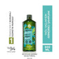 Pure Detox Purifying Shampoo for Oily Hair - Organic Seaweed, 48-Hour Cleansing Effect