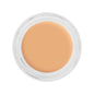 Kryolan Digital Complexion Cream Foundation O17 12g