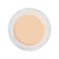 Kryolan Digital Complexion Cream Foundation Y24 12g