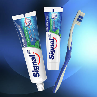 Signal Anti-Cavity Toothpaste with Pro-Fluoride Complex & Long-Lasting Freshness - 3.38 fl oz