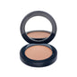 Kryolan High Glow Silky Dust Illuminating Powder 4g