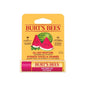 Burt's Bees Watermelon Lip Balm Hydrating Lip Care 4.25g