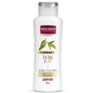 Mousson Anti-Dandruff Shampoo: Zinc & Tea Tree Oil, Sulfate-Free, Vegan Hair Care, Scalp Treatment & Hair Loss Prevention