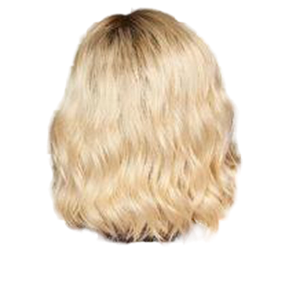 Eva Gabor Soft and Subtle Synthetic Lace Front Wig Mono Part New - Choose Size