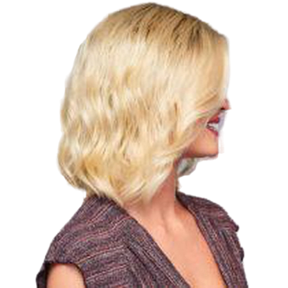 Eva Gabor Soft and Subtle Synthetic Lace Front Wig Mono Part New - Choose Size