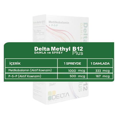 Delta Methyl B12 Plus: Fast-Absorbing Vitamin B12 Supplement Spray - Active Methylcobalamin, B6 & Herbal Sweetener