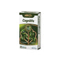 NBTLife Cognilife Capsules with Citicolin, Ginkgo Biloba, and Phosphatidylserine