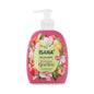 Isana Apple & Peach Liquid Hand Soap 500 ml