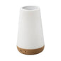 Ideenwelt Wellness Lamp: Color Changing Mood Light with Remote, USB Rechargeable, & Timer - Relaxation & Ambient Lighting