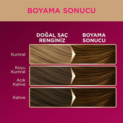 Palette Deluxe Hair Dye - Long-Lasting Coffee Brown Color with Nourishing Formula