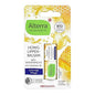 Alterra Organic Honey Lip Balm with Manuka Oil: Natural Moisturizing Lip Care for Dry, Chapped Lips | Lip Protection