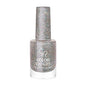 Golden Rose Color Expert Fall & Winter Glitter 401 Nail Polish - Easy Application, Single Coat, Trendy Glitter Finish