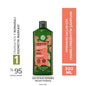 Reparation Prebiotic Shampoo for Damaged Hair - Organic Agave & Jojoba Oil,  Repairing & Nourishing