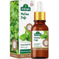 Arifoglu Melissa Essential Oil for Soothing Care 20ml
