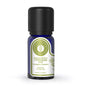 Arotolia Eucalyptus Citriodora Essential Oil 10 ml