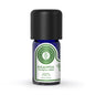 Arotolia Eucalyptus Essential Oil for Aromatherapy 5ml