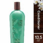 Bain de Terre Balancing Conditioner | Green Meadow | Normal to Oily Hair | Argan & Monoi Oils | Paraben Free | 13.5 fl oz