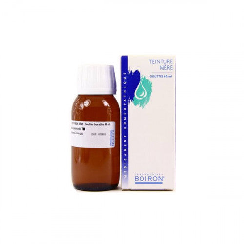 Boiron Calendula Officinalis Teinture Mère Tincture