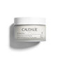 Caudalie Vinoperfect Brightening Moisturizer with Niacinamide