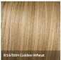 Hairdo Clip-In Bangs Fringe Hairpiece - Choose Color