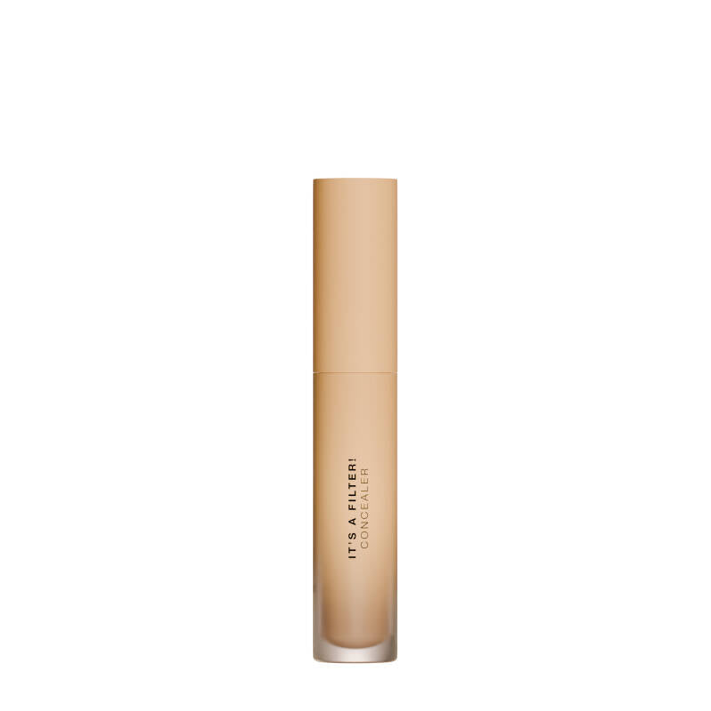 Diego Dalla Palma It's A Filter Concealer 137 W